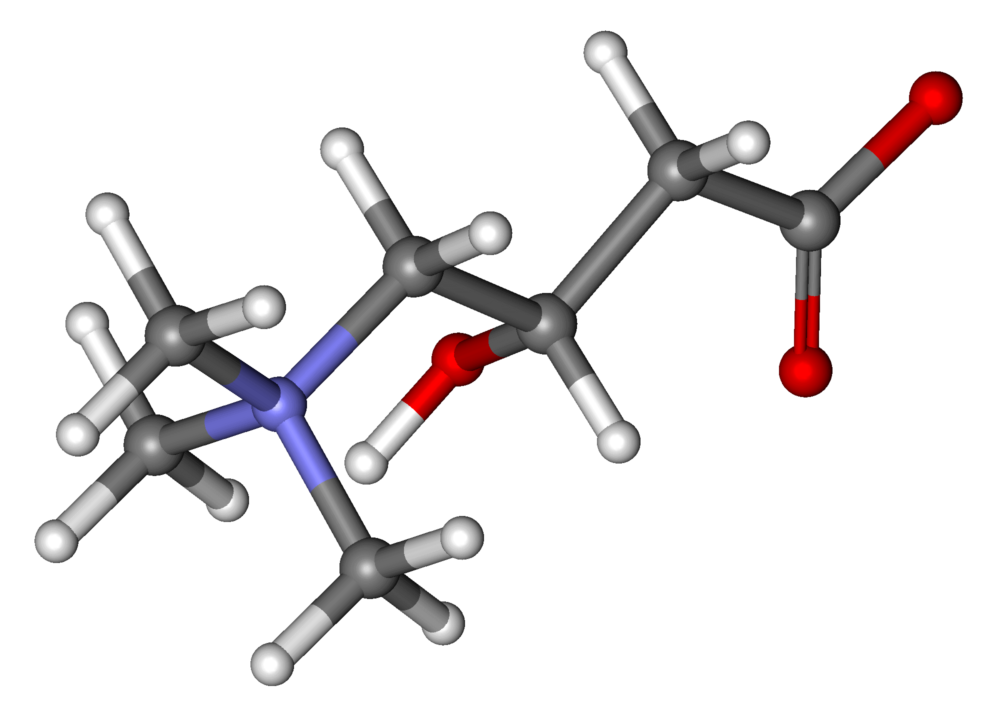 Acetyle-L-Carnitine Logo