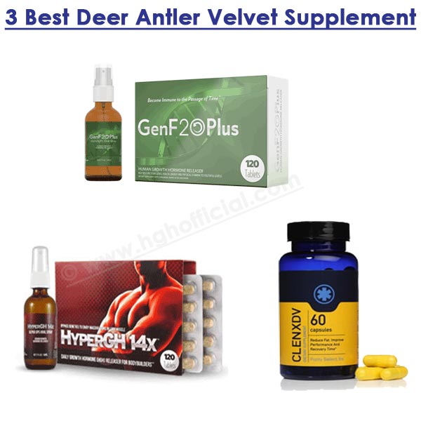 Best Deer Antler Velvet Supplement