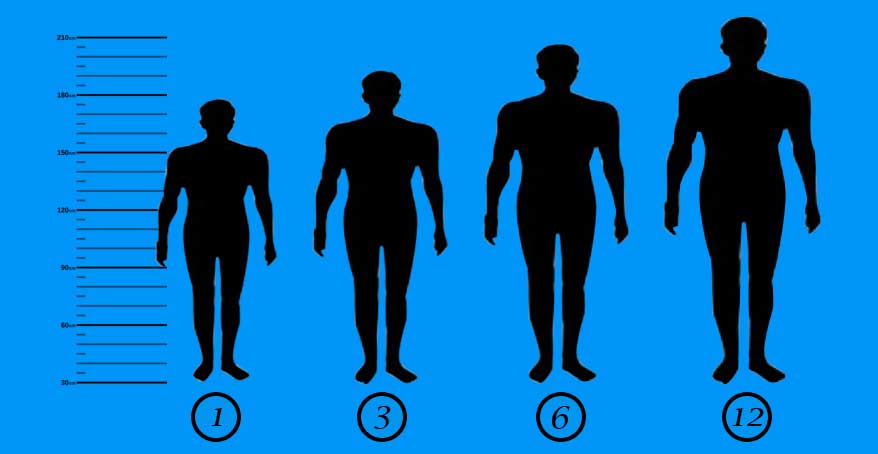 Height Gains Monthly Chart
