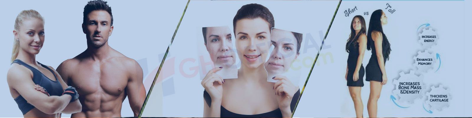 HGHOfficial banner