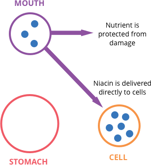 NiacinMax Function
